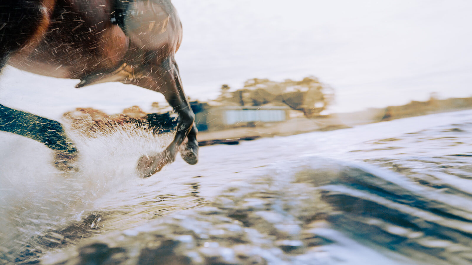 Legs and water