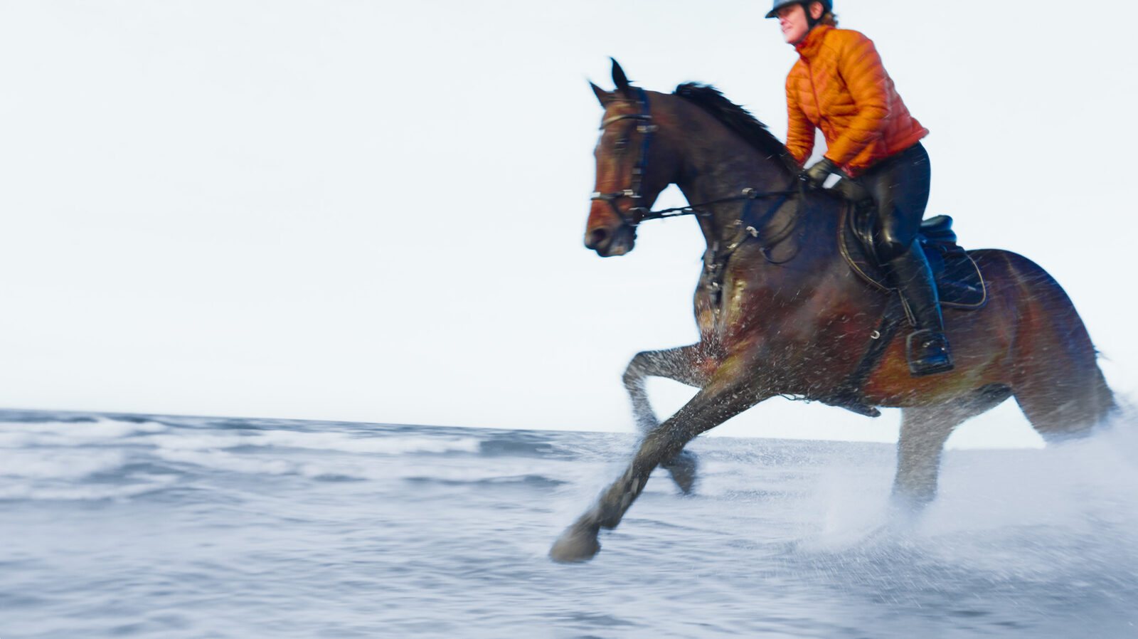 Galloping through the shallows